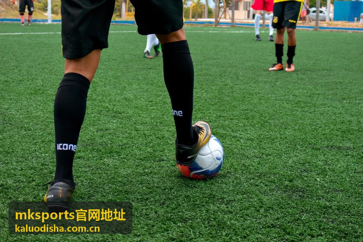 mksports官网地址 场馆入口·观赛指引页面示意
